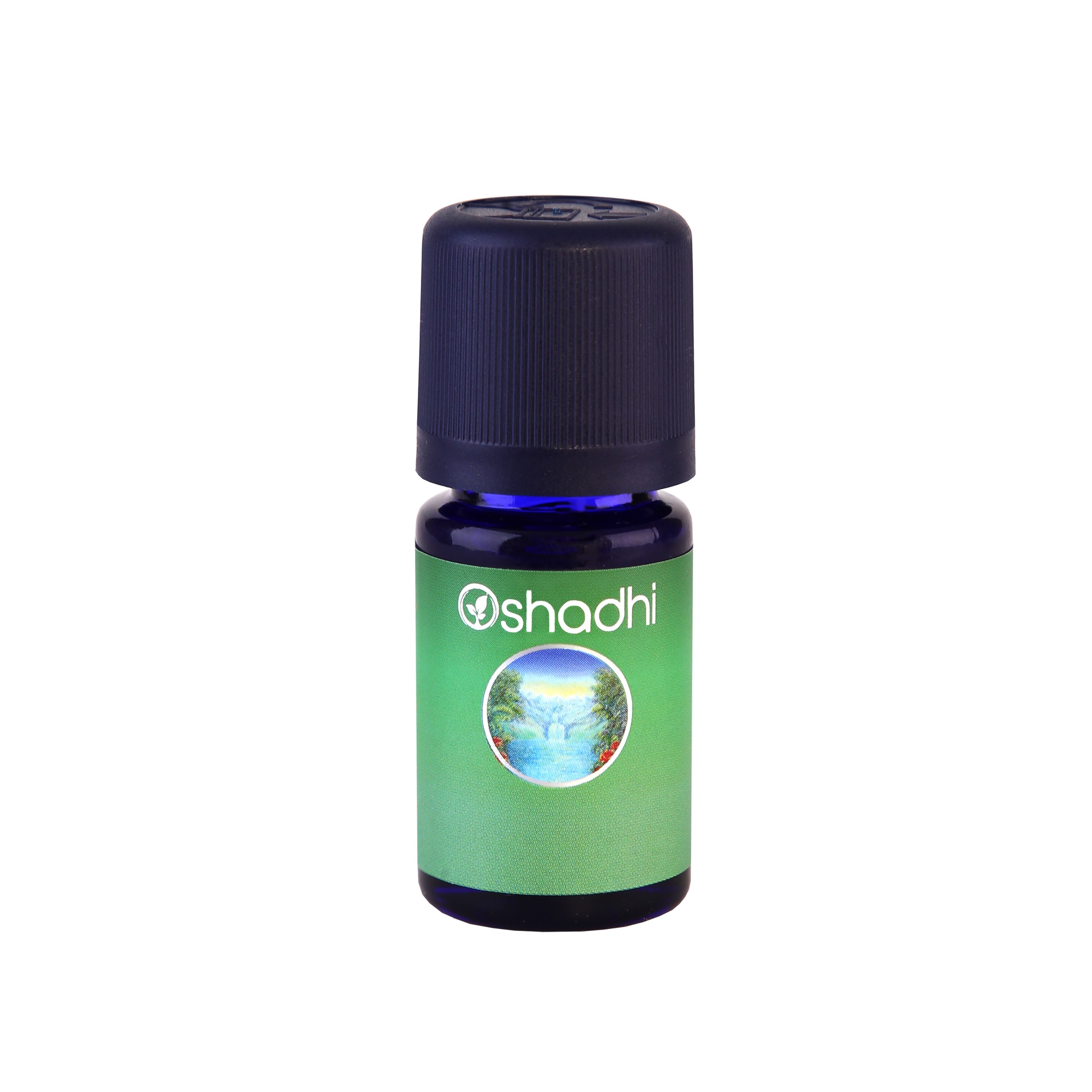 20211005074327971tvwzw.jpg