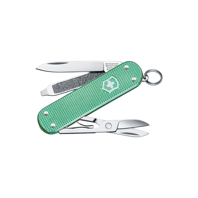 20250114173953154pvrri.jpg