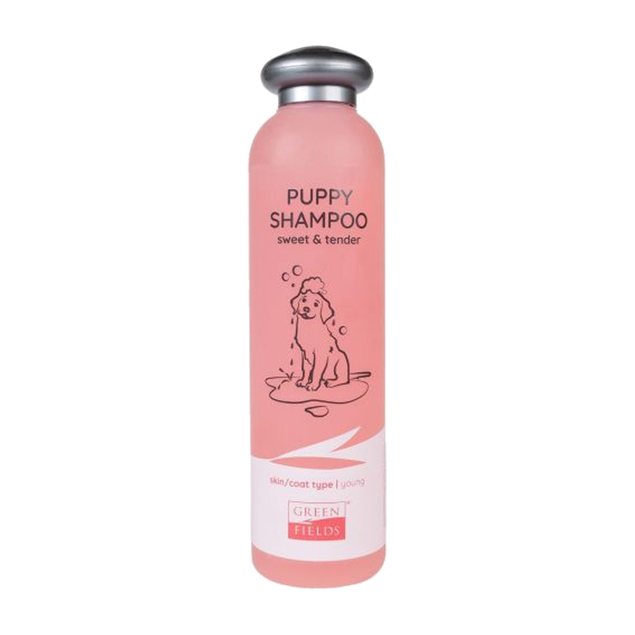20260826164549145jfigg.jpg